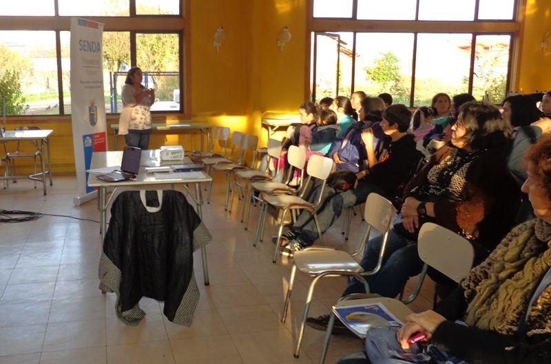 Cerca de 70 docentes de la Araucanía finalizan diplomado en prevención