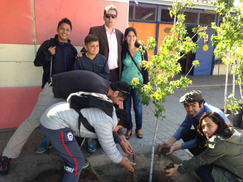 Con plantación de árboles en escuela de San Felipe Senda Previene ayuda a mejorar los espacios educacionales