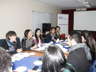 SENDA Araucanía lleva a cabo segunda mesa técnica SENDA Previene en la comunidad en la región de La Araucanía