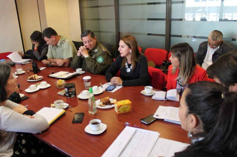 SENDA Araucanía participa en subcomité de seguridad pública