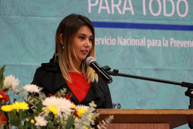 Directora Regional de SENDA alerta por alto consumo de alcohol en La Araucanía