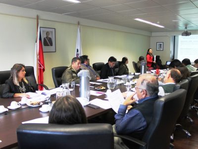 SENDA Araucanía participa en Subcomité de Seguridad Pública de Gobernación de Cautín