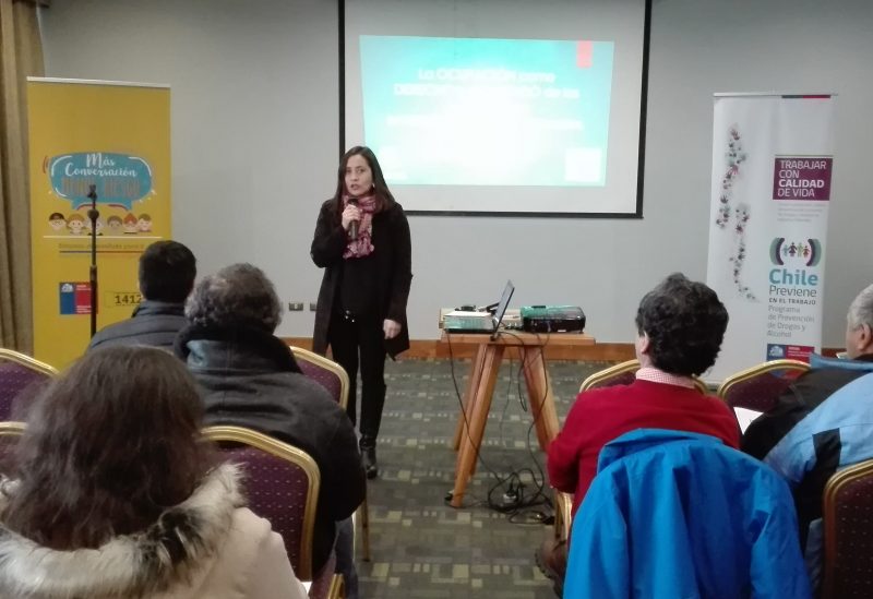 SENDA Araucanía realiza seminario de prevención laboral