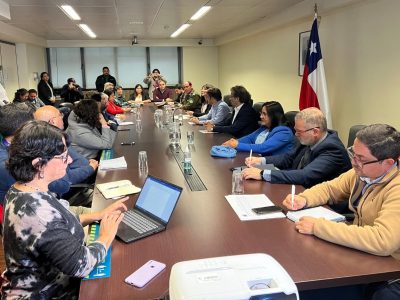 Directora de SENDA encabezó constitución del Comité Regional de Prevención de La Araucanía
