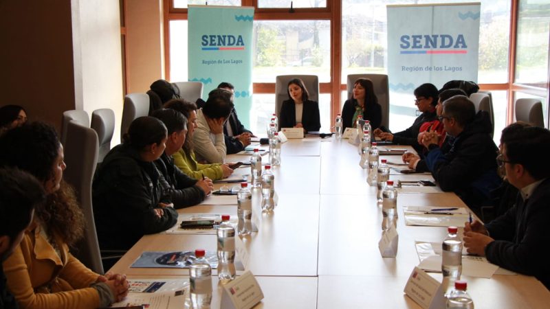 SENDA constituyó el Comité  Técnico Regional para la Prevención y Rehabilitación en Los Lagos