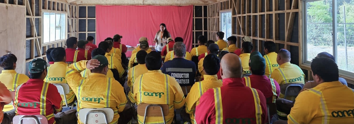SENDA Biobío capacitó a funcionarios y brigadistas de CONAF