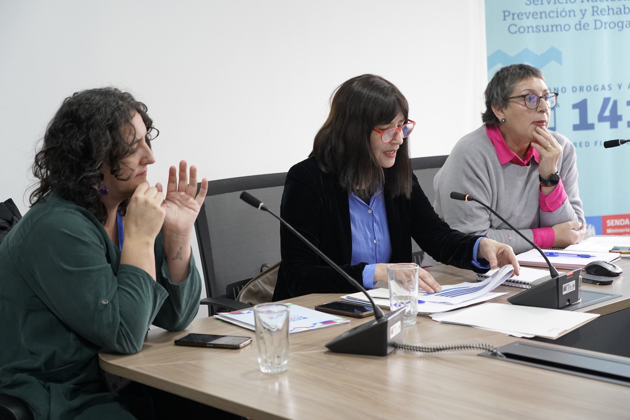 Directora de SENDA participa en reunión de coordinación regional de políticas de drogas