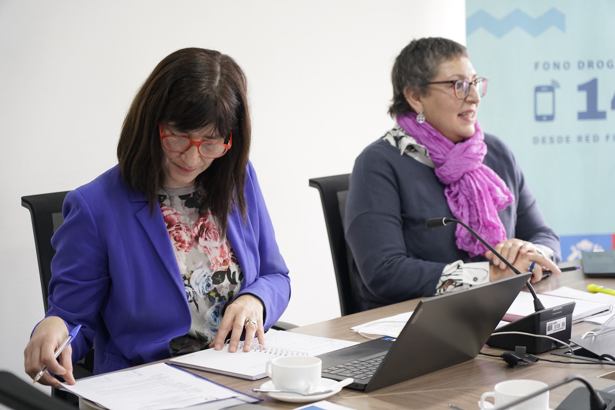 Directora Nacional de SENDA Presenta Plan de Acción 2024-2030 en Reunión del MERCOSUR