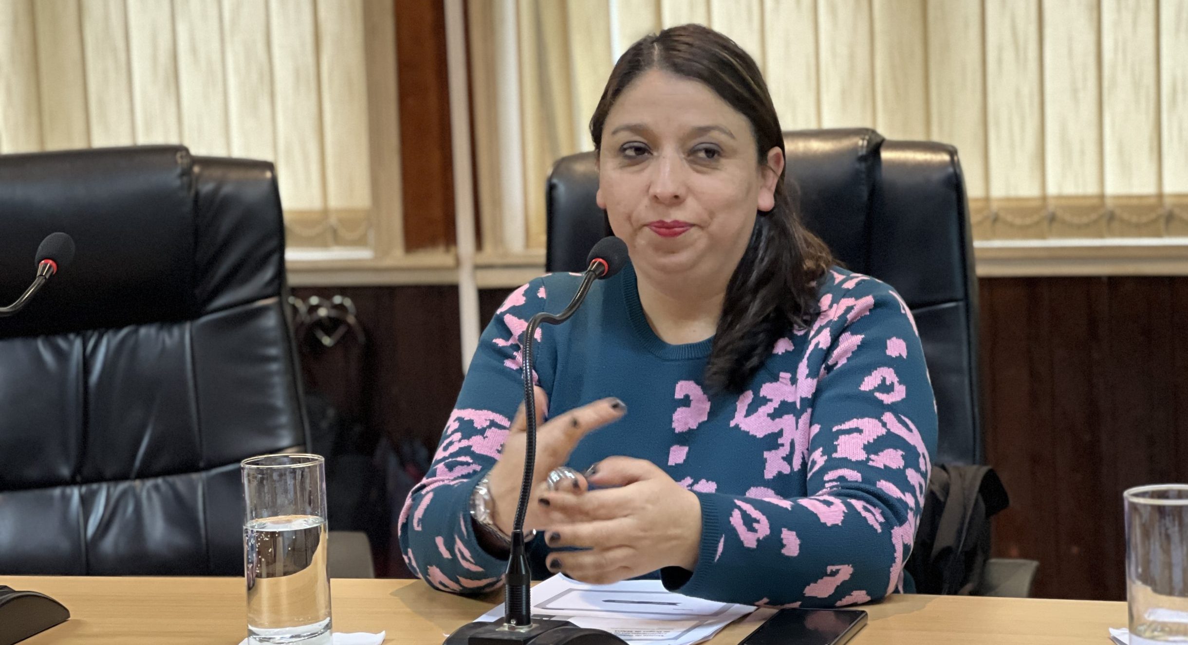 SENDA Los Ríos está llevando a cabo la “Presentación del Nuevo Modelo de Gestión Local” a Concejos Municipales de la región.