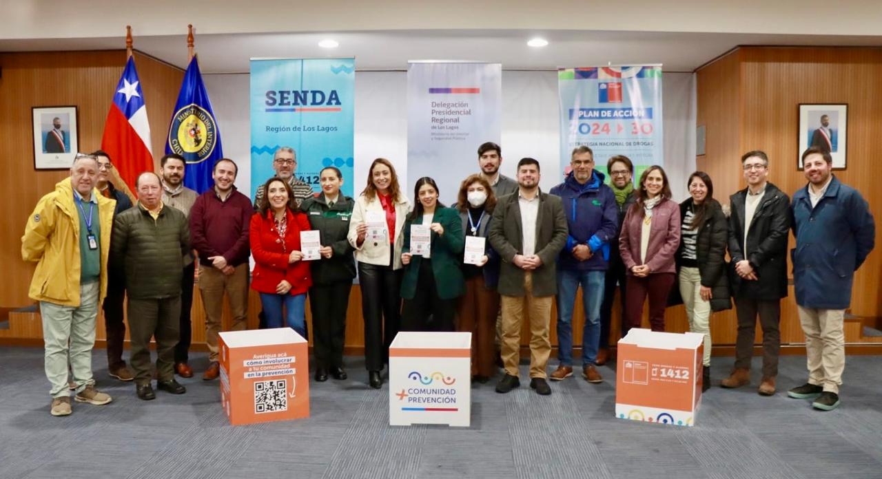 Comité Directivo Regional de Prevención y Rehabilitación de Drogas y Alcohol valida plan de acción para la región de Los Lagos