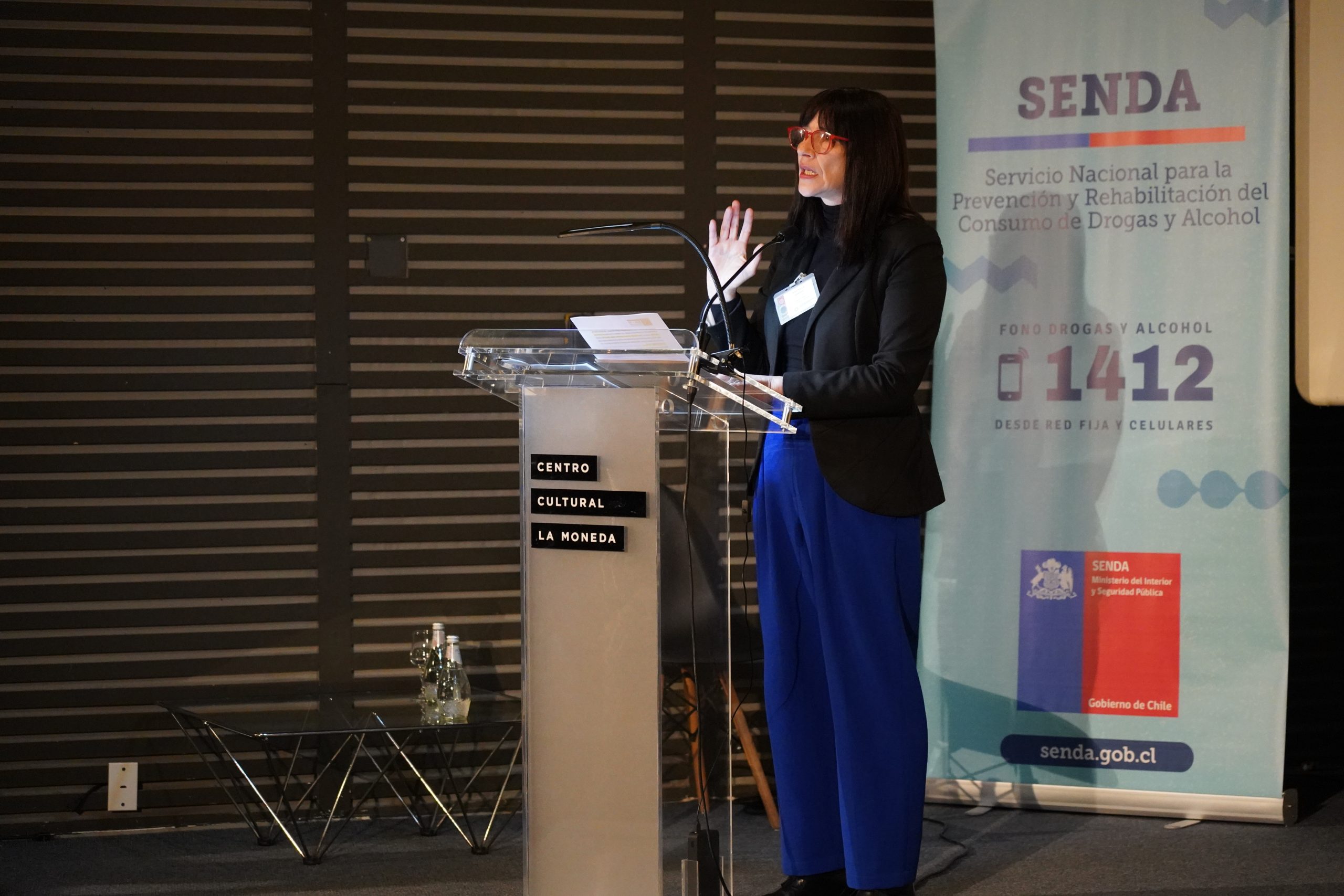 Directora de SENDA en seminario de Reducción de Daños: “Debemos buscar enfoques innovadores y efectivos”