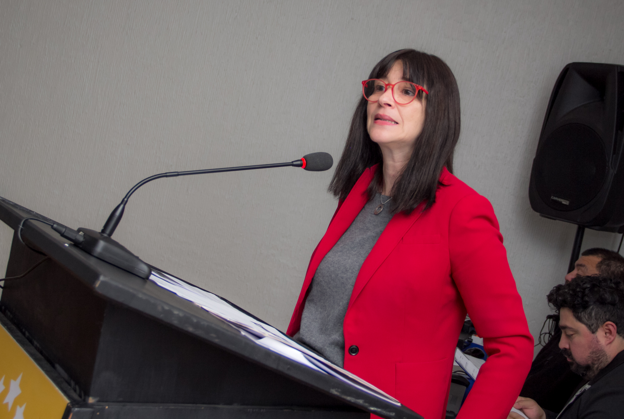 SENDA e iiReda realizan seminario sobre reducción de daños en Temuco