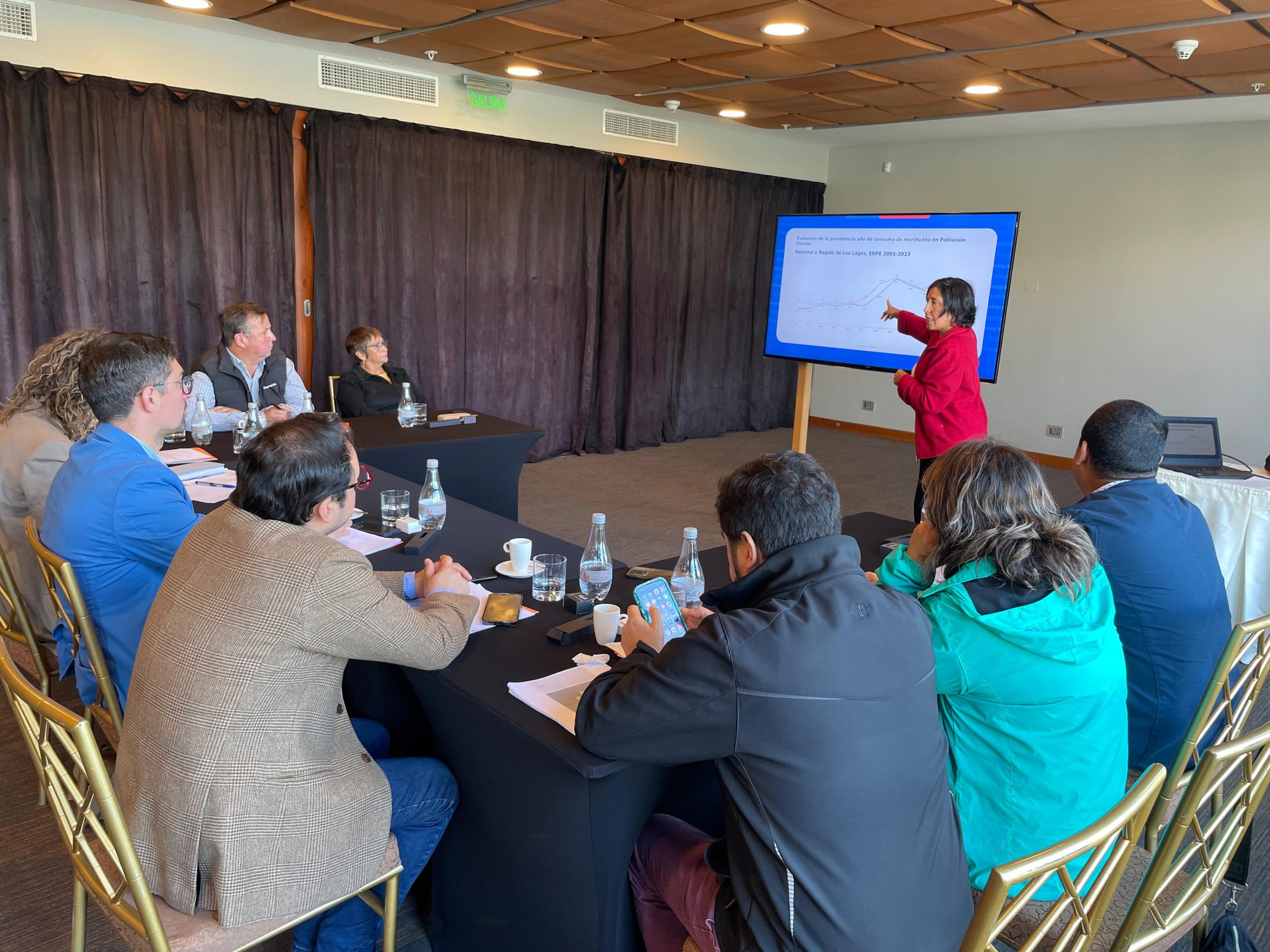 SENDA Los Lagos expone problemática del consumo de alcohol y otras drogas en sesión de la Asociación de Municipalidades de la Cuenca del Lago Llanquihue