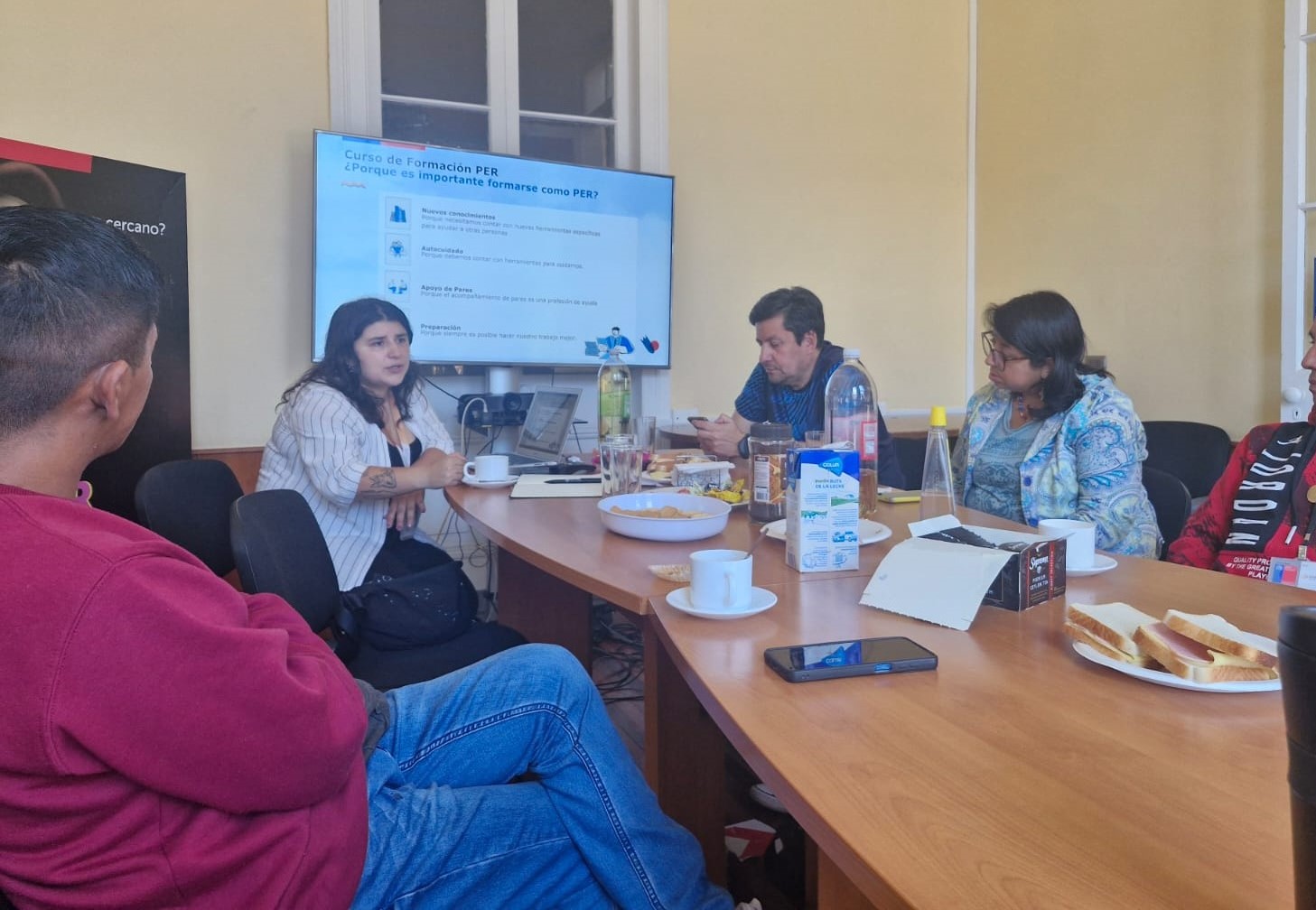 SENDA Tarapacá y Fundación Avanza Inclusión inician  segunda versión del Piloto de Recuperación en Pares (PER)