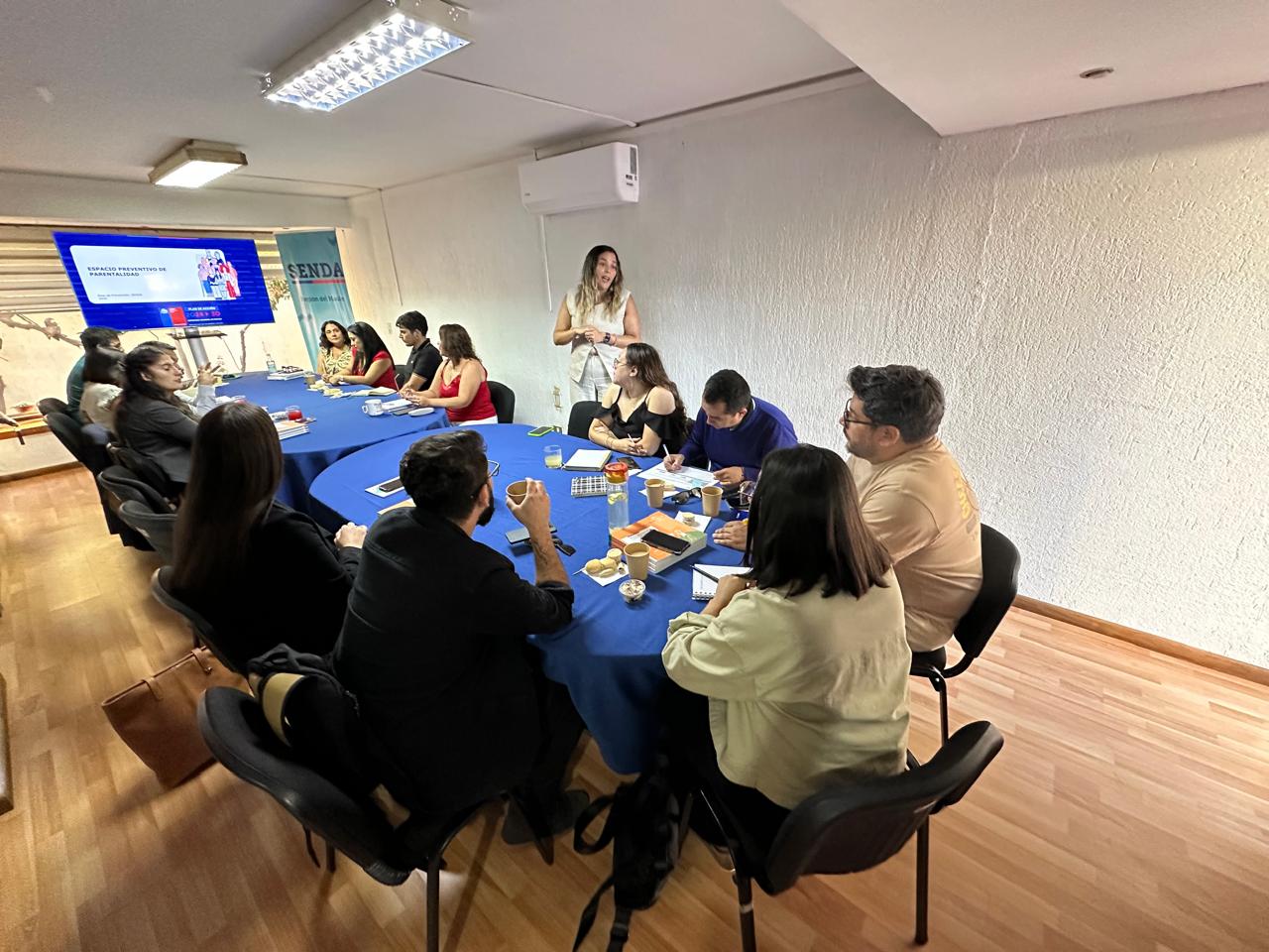 Profesionales Previene se capacitan en fortalecimiento del programa Parentalidad en el Maule